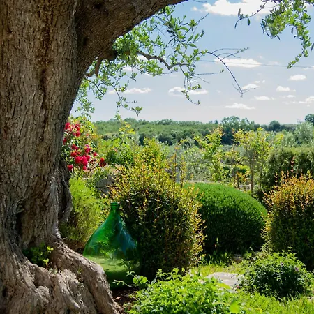 Trulli Arco Antico